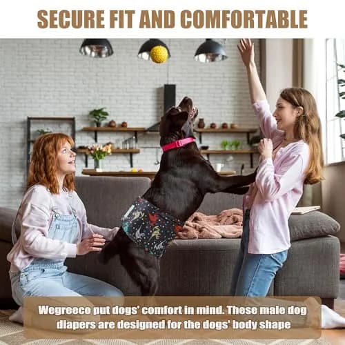 wegreeco Washable Male Dog Belly Band (Stylish Pattern) - Pack of 3 - Dog Diapers Male - Washable Male Dog Belly Wrap (Dinosaur Fossils, Medium) thumbnail 6
