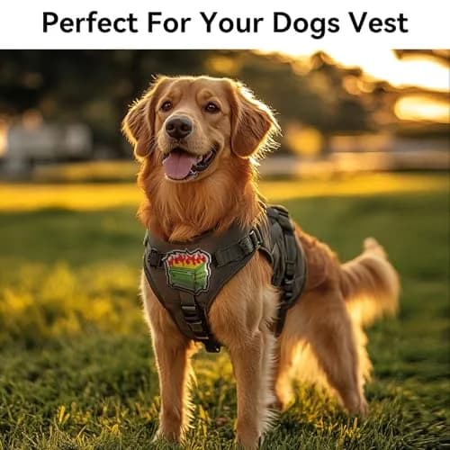Harsgs Funny Tactical Morale Patches Pack 20pcs (2-3 inch) thumbnail 6