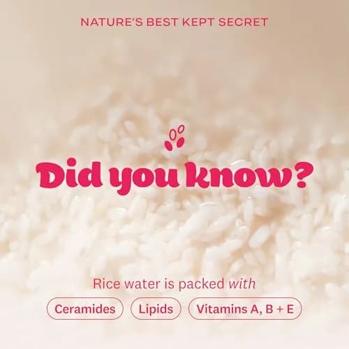 The Face Shop Rice Water Bright Foaming Cleanser 10.1 fl oz (Pack of 2) | Deep Pore & Hydrating thumbnail 3