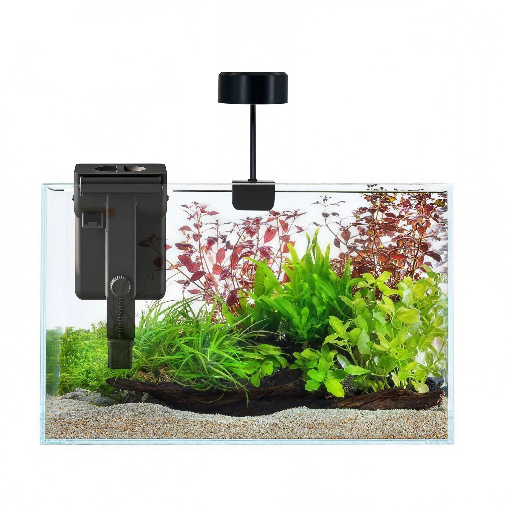 Craftsboys Fish Tank Starter Kit 6 Gallons | Ultra-Clear Glass Aquarium with Filter & LED Light