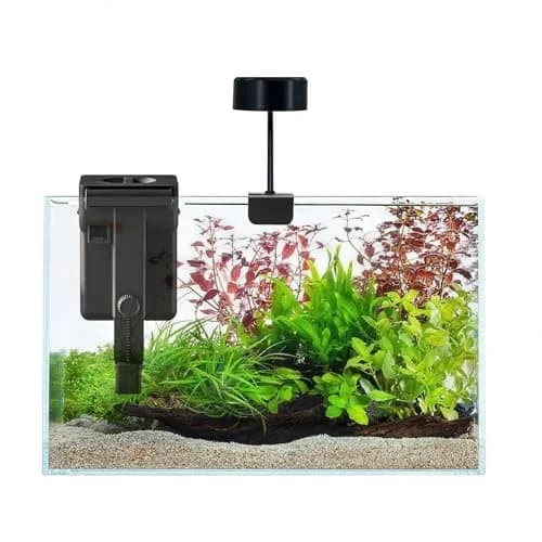 Craftsboys Fish Tank Starter Kit 6 Gallons | Ultra-Clear Glass Aquarium with Filter & LED Light thumbnail 1