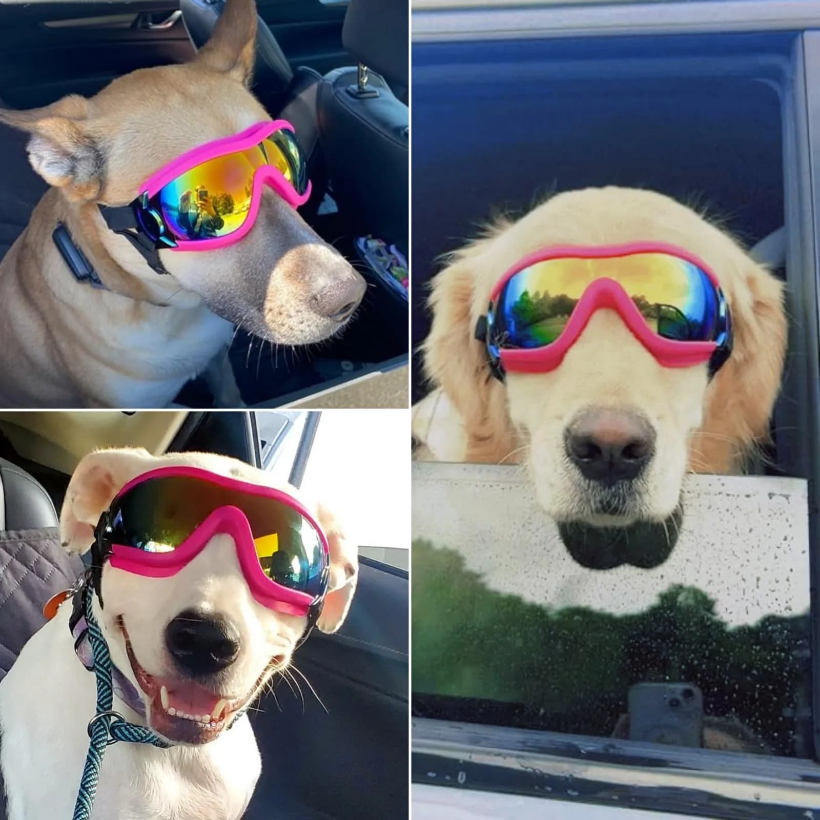 Enjoying Neon Pink Dog Goggles for Large Breeds | UV Protection, Windproof, Adjustable - view 2