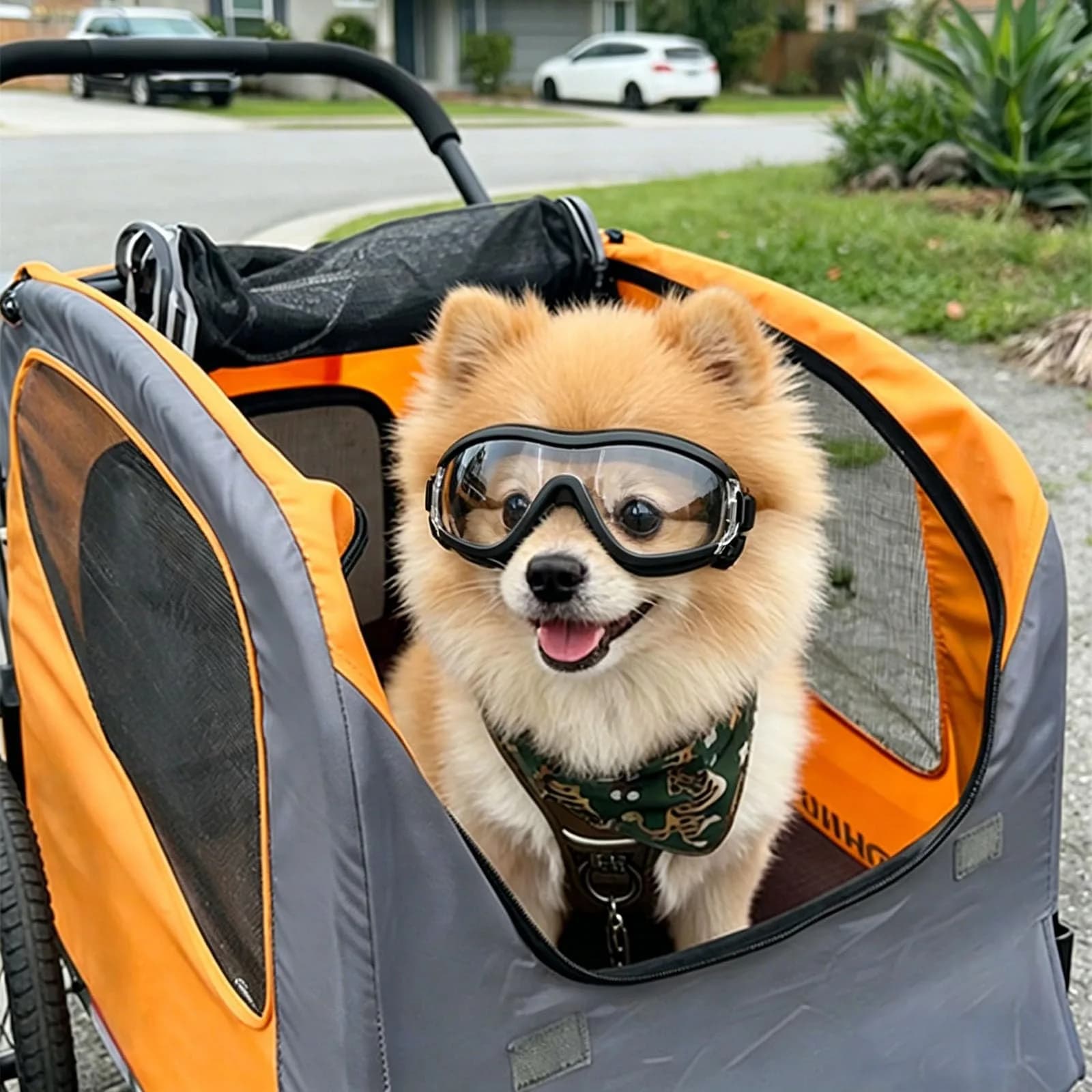 Enjoying Tactical Clear Dog Goggles for Small Breeds | UV Protection, Windproof, Adjustable - view 2