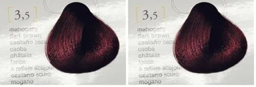 Salermvison Hair Coloring Cream #3.5 Dark Chestnut Mahogany 75 ml | Long-lasting Gray Coverage with Natural Oils thumbnail 1