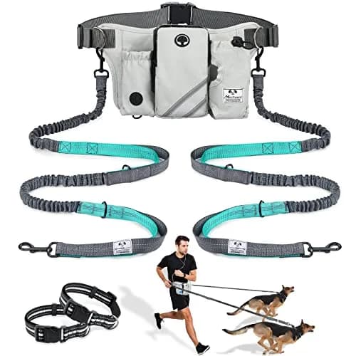 SHINE HAI Retractable Hands Free Dog Leash with Dual Bungees for 2 Dogs, Adjustable Waist Belt, Reflective Stitching Leash for Running Walking Hiking Jogging Biking Black - Gray2 | Fits All Dog Sizes thumbnail 1