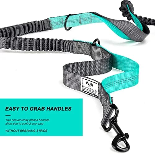 SHINE HAI Retractable Hands Free Dog Leash with Dual Bungees for 2 Dogs, Adjustable Waist Belt, Reflective Stitching Leash for Running Walking Hiking Jogging Biking Black - Gray2 | Fits All Dog Sizes thumbnail 5