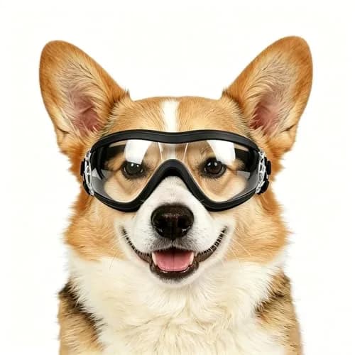 NAMSAN Clear Dog Goggles Small to Medium Breed, Windproof Sunglasses for Dogs Medium Breeds, Puppy Glasses with Elastic Straps, Adjustable, Transparent (1 Unit) thumbnail 1
