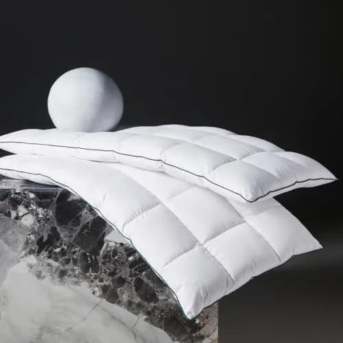 Three Geese Ultra Thin Flat Goose Down Feather Pillows Set of 2 | 2.5 inch Height, 18x26 Inch thumbnail 1