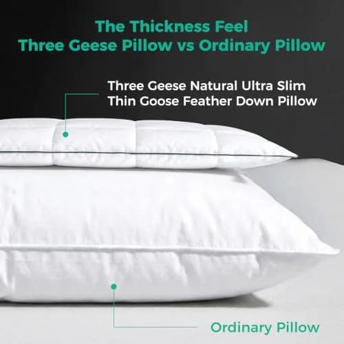 Three Geese Ultra Thin Flat Goose Down Feather Pillows Set of 2 | 2.5 inch Height, 18x26 Inch thumbnail 3