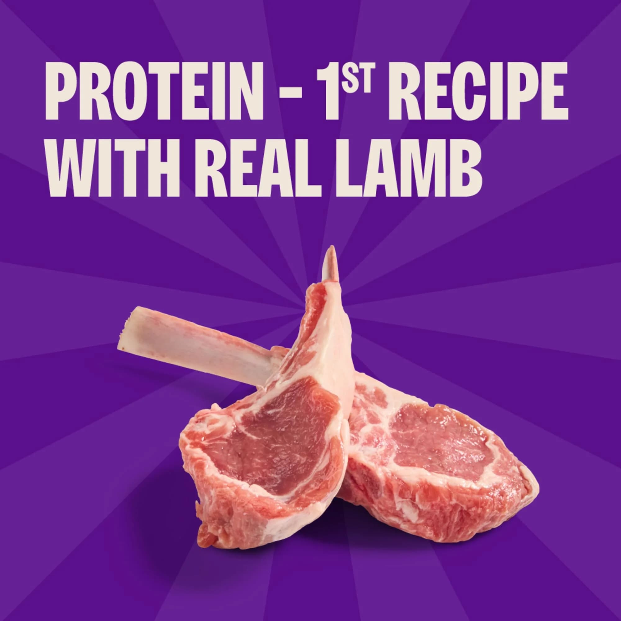 Wellness Soft Puppy Bites Dog Training Treats, Lamb & Salmon Recipe, 3 Ounce (Pack of 2) - view 3