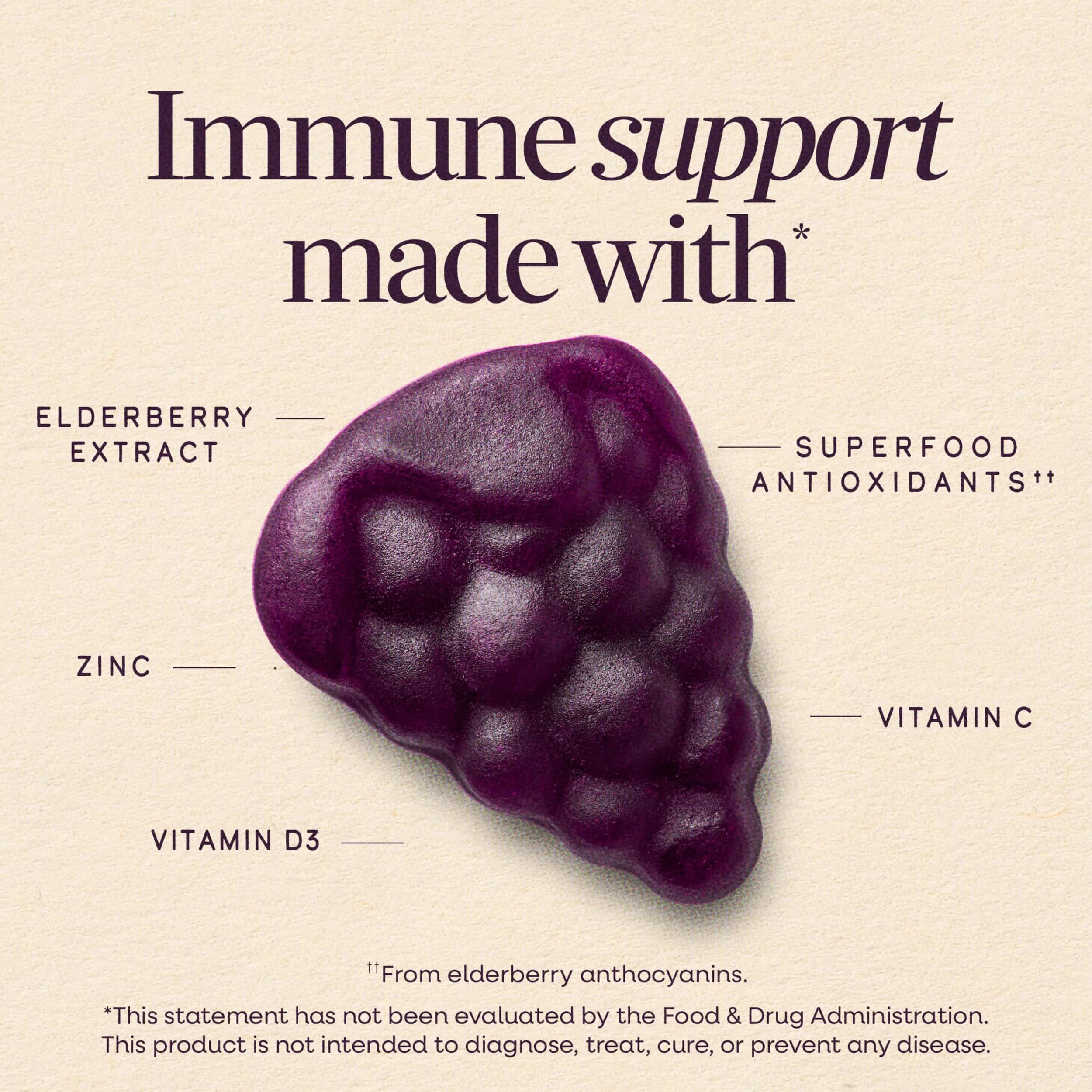 Nature's Way Sambucus Elderberry Gummies for Immune Support, 60 Gummies - view 2