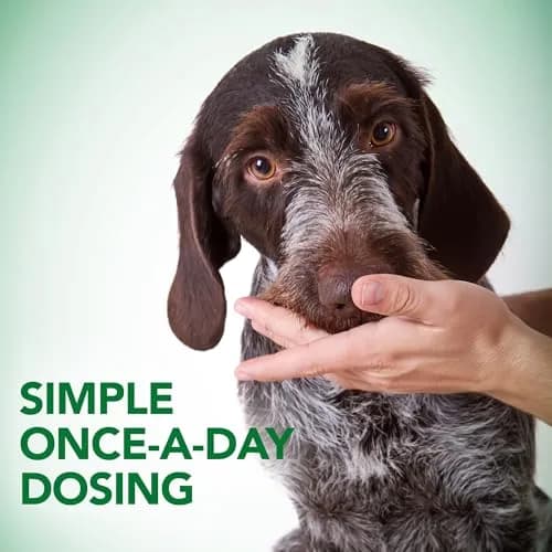 Vet’s Best Probiotic Soft Chews for Dogs 180 Count | Supports Digestive & Immune Health thumbnail 5