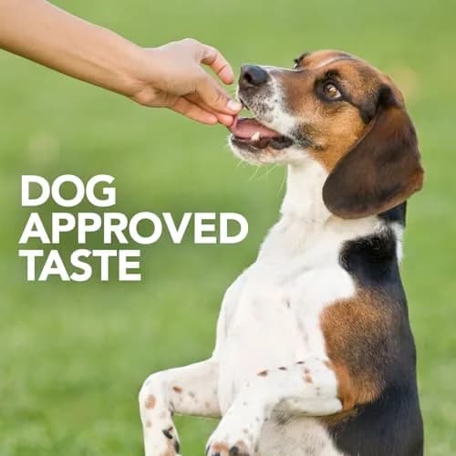 Vet’s Best Probiotic Soft Chews for Dogs 180 Count | Supports Digestive & Immune Health thumbnail 6