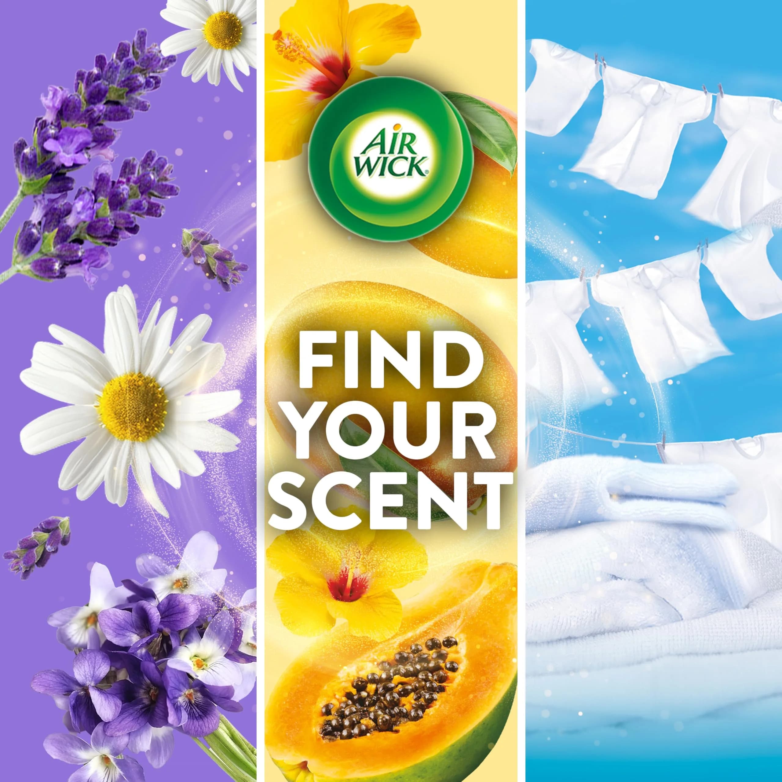Air Wick Plug in Scented Oil Refill Lavender & Chamomile 24.12ml (0.811 Fl Oz x 12) | Essential Oils for Welcoming Homes - view 8