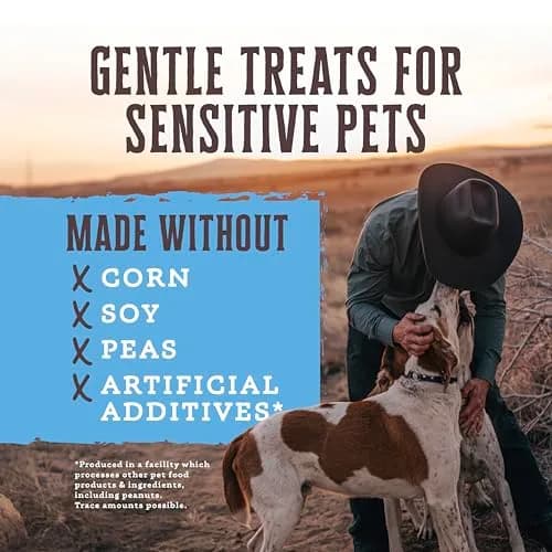 Wholesomes Rewards Salmon Dog Biscuits 20 lb | Sensitive Skin & Stomach Support thumbnail 3