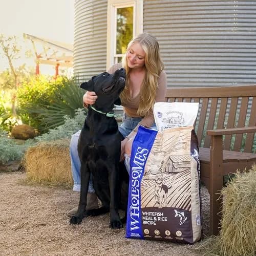 Wholesomes Whitefish Meal & Rice Adult Dry Dog Food 12 lb Bag | Supports Skin & Digestion thumbnail 7
