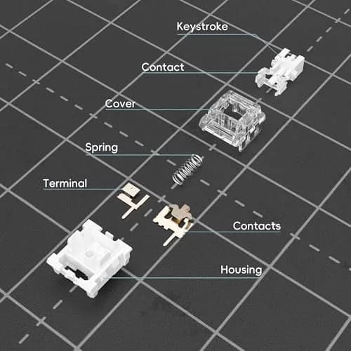 Mciepny Zhouwang 30pcs Keyboard Switches | Clicky, Durable, Compatible with Most Keycaps thumbnail 3