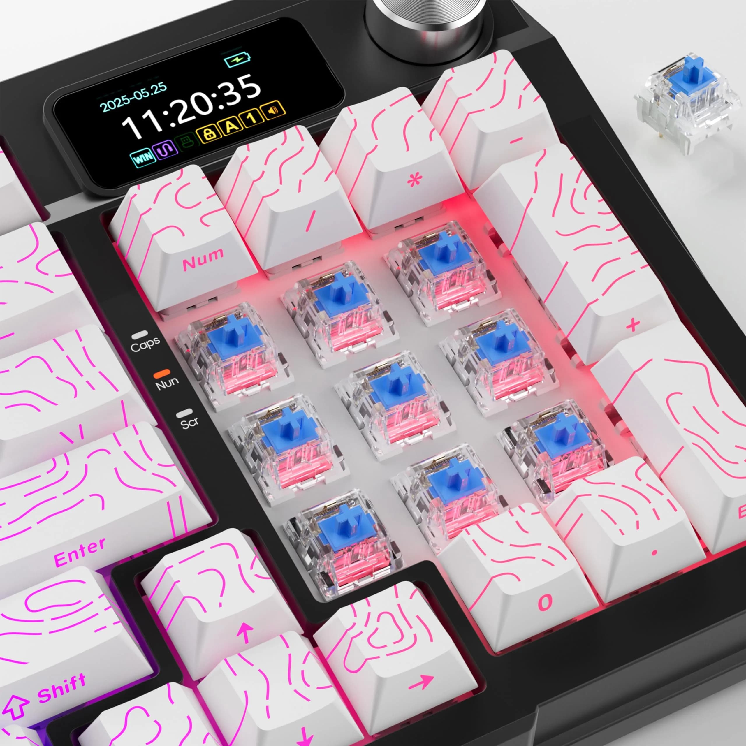 Mciepny Zhouwang 30pcs Clickers for 3D Prints Blue Clicky Keyboard Switches | 3 Pin 50gf Accurate Typing Dustproof thumbnail 5