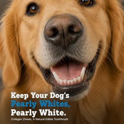 Jack&Pup Collagen Sticks for Dogs 15 Count | Long Lasting Beef Collagen Chews for Large Dogs thumbnail 5