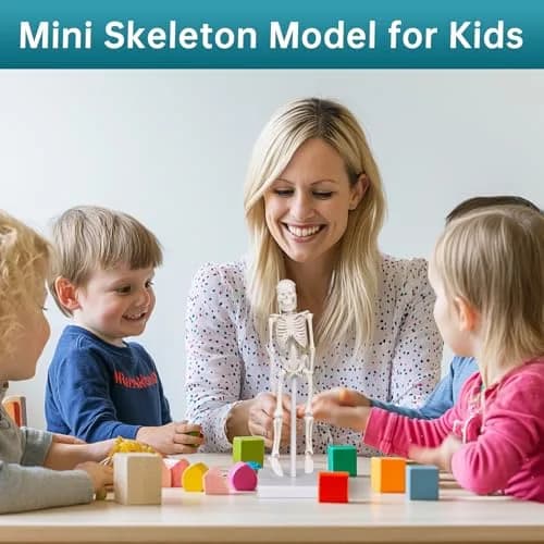 Ultrassist Mini Skeleton Model 7.8" Anatomy Skeleton with Movable Limbs | Educational & Decorative thumbnail 2