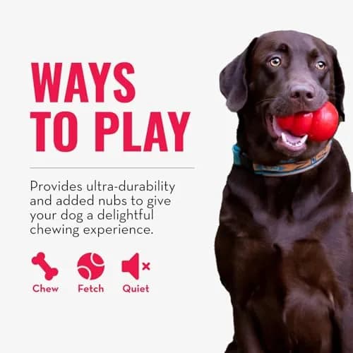 KONG Ring - Natural Rubber Chew Toy for Medium/Large Dogs | Supports Dental & Instincts thumbnail 4