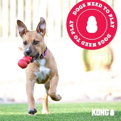 KONG Ring - Natural Rubber Chew Toy for Medium/Large Dogs | Supports Dental & Instincts thumbnail 7