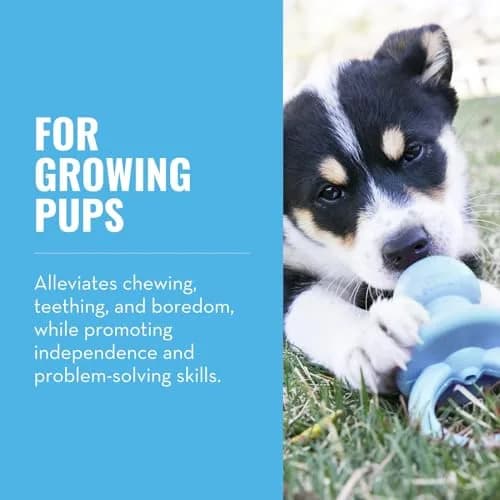 KONG Puppy Binkie Pacifier Dog Toy for Puppies | Durable Natural Rubber for Teething (Small Pack of 2) thumbnail 2