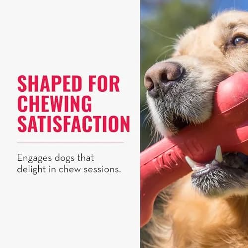 KONG Goodie Bone Classic Durable Natural Rubber Dog Bone 2-Pack | Supports Mental Engagement & Treat Dispensing thumbnail 2