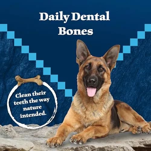 Blue Buffalo Wilderness Small Dog Dental Chews 1.69 Pound | Grain-Free, Fresh Breath, Plaque Control thumbnail 3