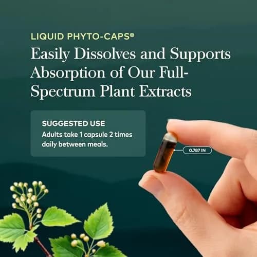 Gaia Herbs Mighty Lungs Vegan Liquid Phyto-Caps 60 Count (Pack of 2) | Respiratory Support Supplement with Herbs Traditionally Used to Help Maintain Respiratory Health thumbnail 6
