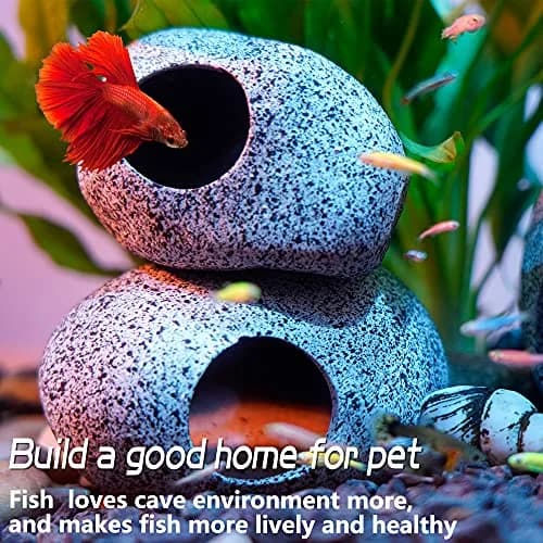 Ameliade Ceramic Aquarium Cave Decoration (Pack of 2) | Medium Hideout for Betta, Shrimp, Cichlid, Small Fish thumbnail 4