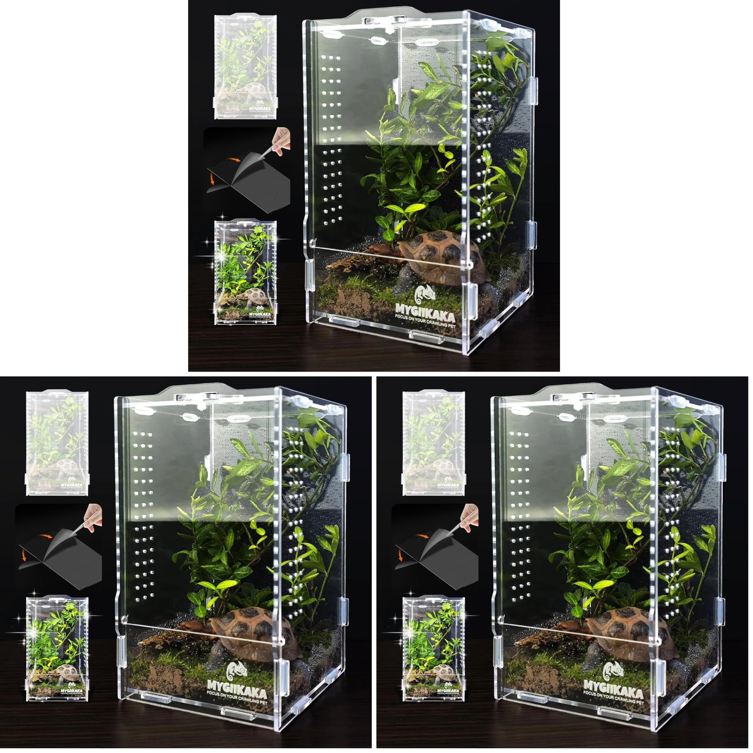 MYGIIKAKA Acrylic Jumping Spider Habitat, Insect Terrarium, Bug Enclosure, Praying Mantis Habitat, Frog Enclosure (Pack of 3) — Pack of 3