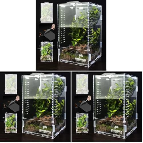 MYGIIKAKA Acrylic Jumping Spider Habitat, Insect Terrarium, Bug Enclosure, Praying Mantis Habitat, Frog Enclosure (Pack of 3) thumbnail 1