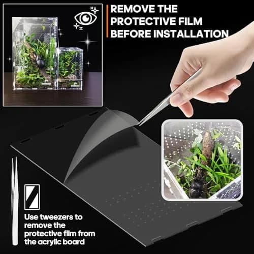 MYGIIKAKA Acrylic Jumping Spider Habitat, Insect Terrarium, Bug Enclosure, Praying Mantis Habitat, Frog Enclosure (Pack of 3) thumbnail 3