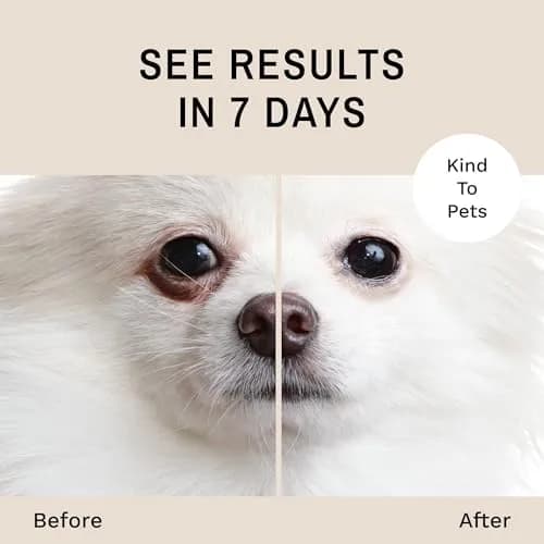 Eye Envy Tear Stain Remover Powder for Dogs and Cats 1 oz (2-Pack) | Natural, Safe Formula for Dry Eyes thumbnail 4