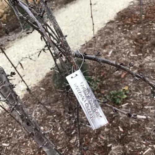 TINSKY Aluminum Plant Labels - 200PCS Metal Tags with Wires for Plant Markers, Tree Tags, Outdoor Identification, Greenhouse (Pack of 2) | Waterproof & Durable thumbnail 7