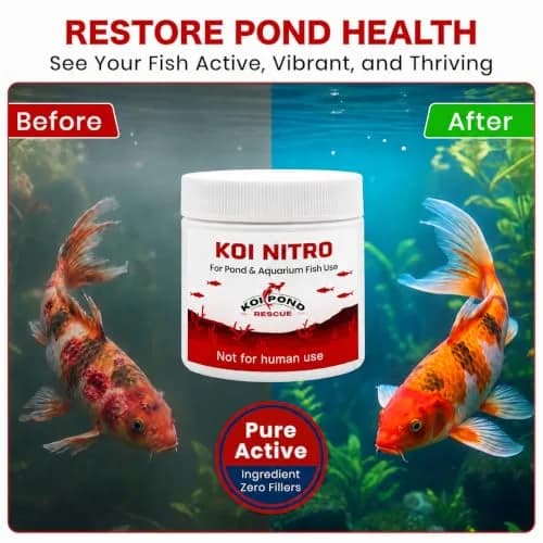 Koi Pond Rescue Koi Nitro Water Treatment 5g (0.176 oz) | For Freshwater, Saltwater & Koi Ponds thumbnail 2