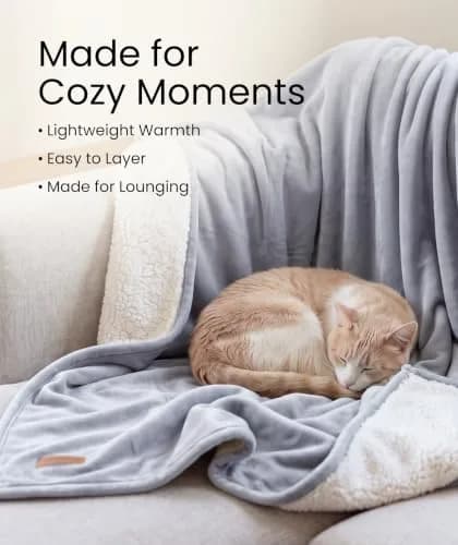 Dawhud Direct Cloud Sherpa Fleece Throw Blanket 50"x60" | Cozy Reversible Plush for Couch & Bed thumbnail 4