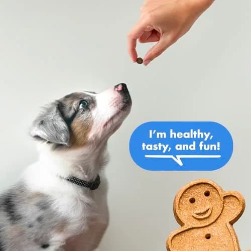 Buddy Biscuits Training Bites Bacon | Soft Chewy Dog Treats, 10 oz (Pack of 12) thumbnail 3