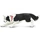 Safari Ltd. Border Collie Toy - 5 Inch Realistic Pet Figure for Kids | Hand-Painted, Safe, Educational thumbnail 4
