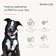 Baskerville ULTRA Dog Muzzle Size 2 | Humane Fit for Small & Medium Dogs thumbnail 4