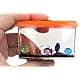 JA-RU Magic Growing Fish Aquarium Toy for Kids - 2 Packs | Educational Sea Creatures thumbnail 2