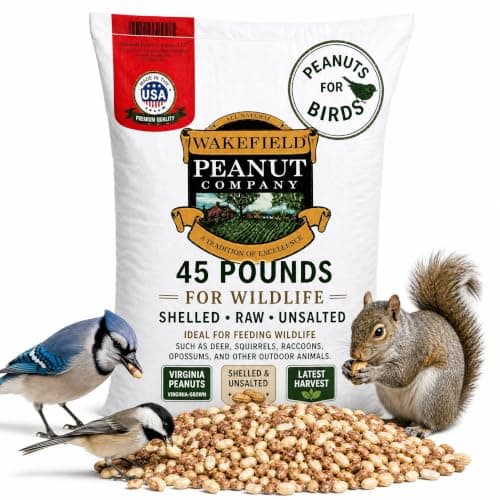 Wakefield Virginia Peanuts Animal Grade Raw Wildlife Peanuts, 10 LBS | Unsalted, Shelled & High Energy for Wildlife in India