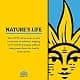 Nature's Life Bromelain & Papain | Digestive Enzymes from Pineapple & Papaya | 250mg | 100 Vegetarian Capsules thumbnail 5