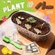 PLANTMEW Paint & Plant Flower Growing Kit for Kids | Creative Gardening Set for Ages 5-12 thumbnail 6