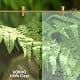 UOKHO Inkjet Transparency Film 8.5x11 inch | Clear PET Sheets for Crafts & Printing thumbnail 7