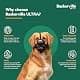Baskerville ULTRA Dog Muzzle Size 2 | Humane Fit for Small & Medium Dogs thumbnail 7