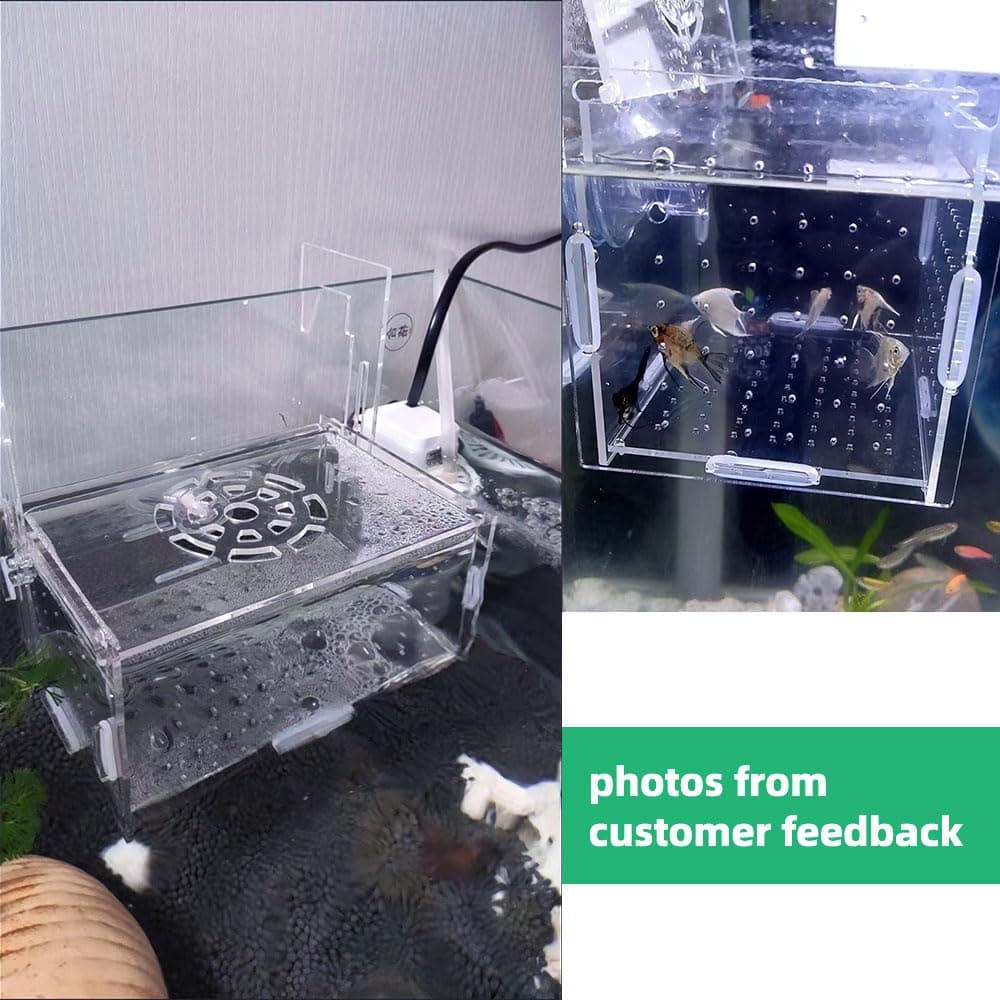 JOBEDE Acrylic Fish breeding Box 6*4*4 inch | Fish Isolation Breeder Aquarium Tank - view 4