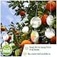 De-Bird Reflective Hanging Discs 8 Pack | Outdoor Garden Decor with Swivel Hooks thumbnail 4