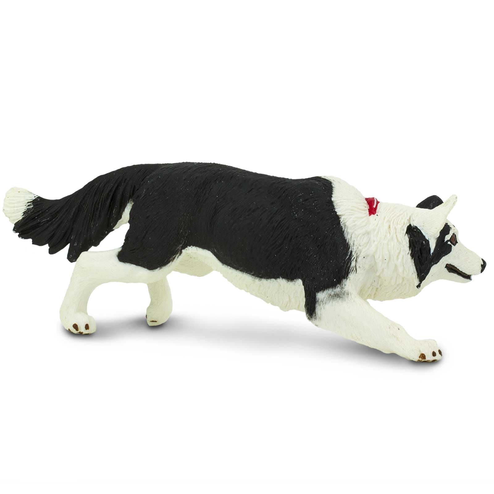 Safari Ltd. Border Collie Toy - 5 Inch Realistic Pet Figure for Kids | Hand-Painted, Safe, Educational - view 5